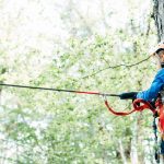 Excursiones escolares en el Centro de Naturaleza Tarihuela