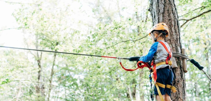 Excursiones escolares en el Centro de Naturaleza Tarihuela